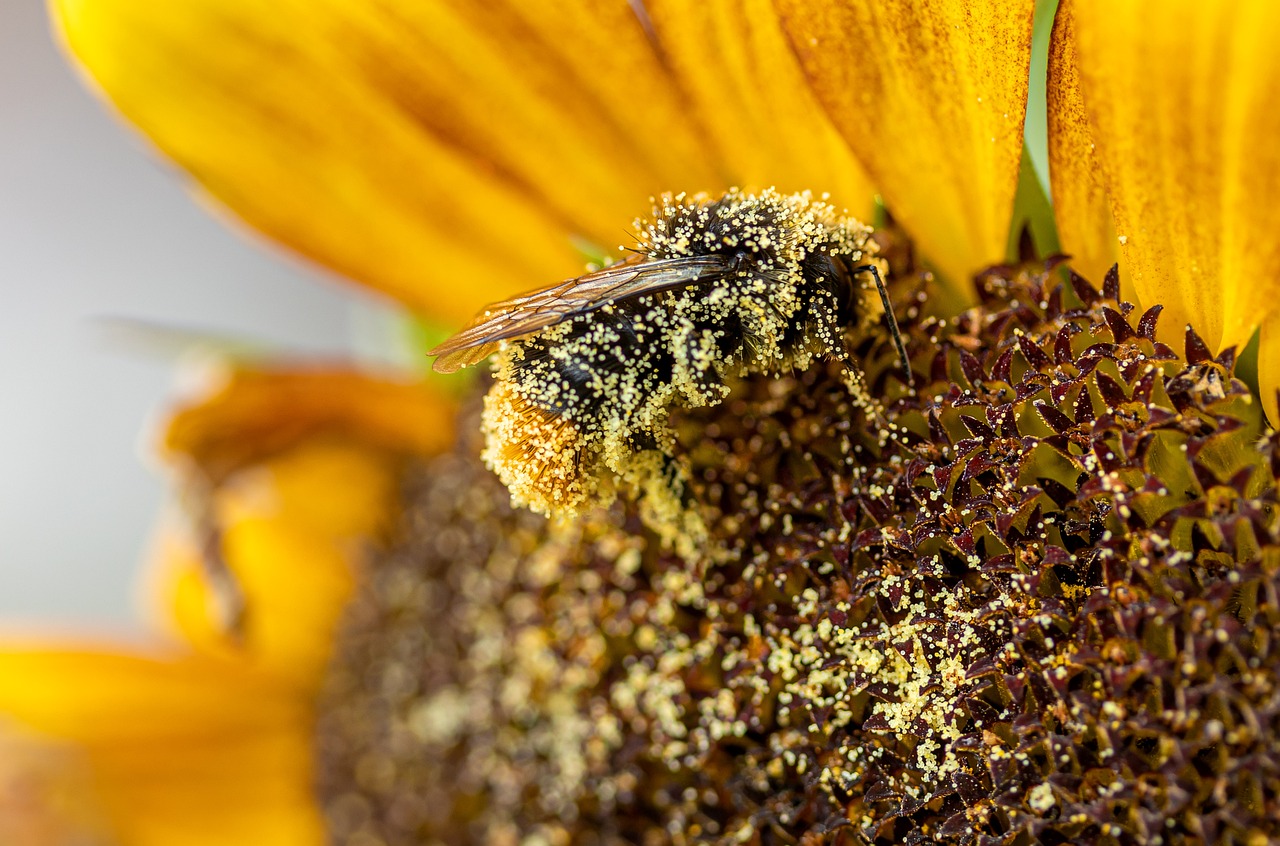 春の花粉による肌荒れは顔だけじゃない体ケアが必要なのはなぜ？