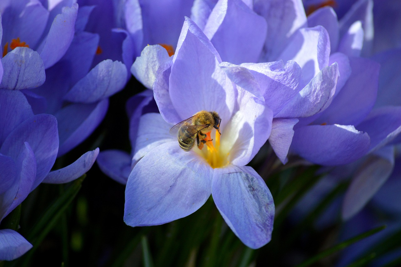 春の花粉による肌荒れを防ぐライフスタイル改善案は？