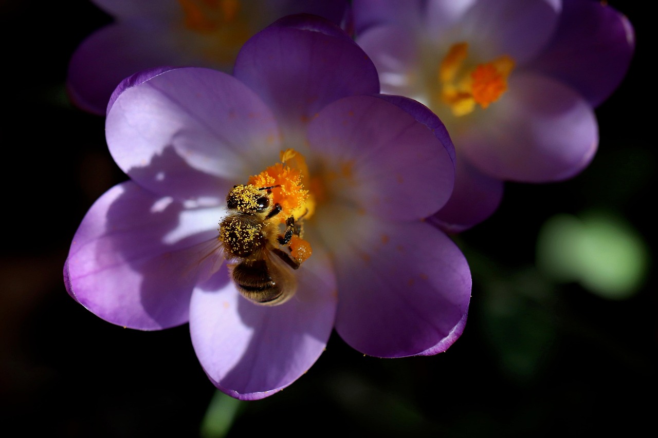春の花粉による肌荒れ対策と唇ケアも必要なのはなぜ？