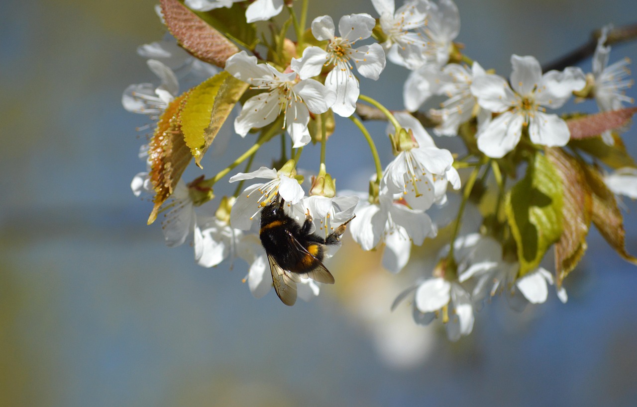 春の花粉による肌荒れ対策は顔だけじゃない体ケアが重要ですか？