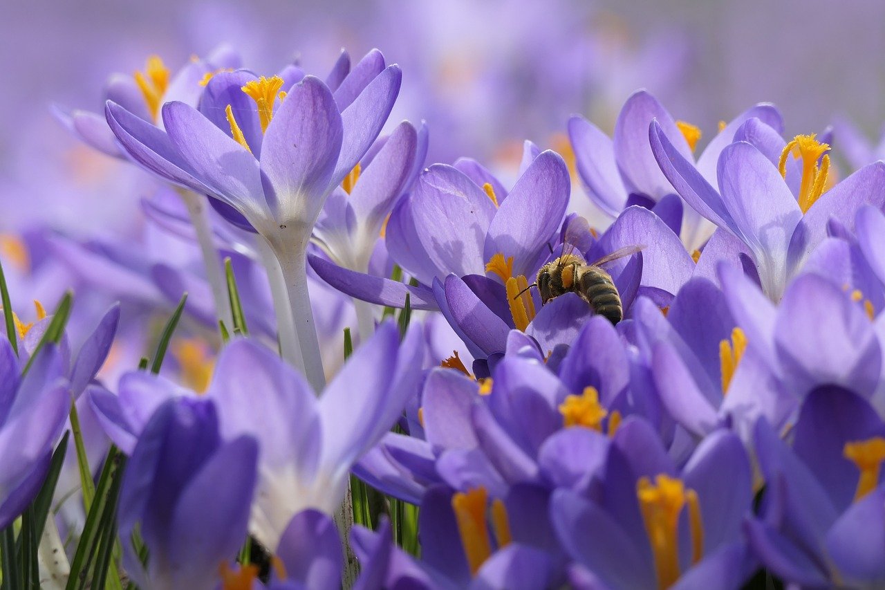 春の花粉対策に効果的なスキンケア方法は？