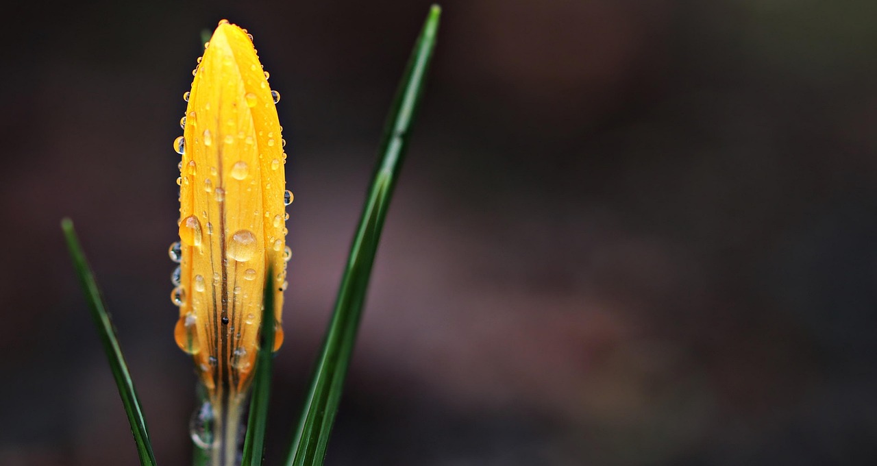 春の花粉対策に最適な肌荒れ防止の持ち運びコスメセットは？