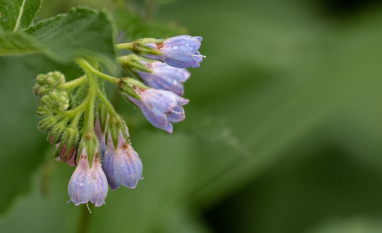 春の花粉による肌荒れとニキビ併発対策は？