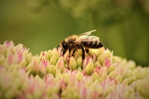 春の花粉による肌荒れを美容医療で改善した後の施術後ケアは？