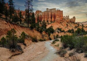 春の花粉対策におすすめの肌荒れ対策はプチプラとデパコスどちらが効果的？