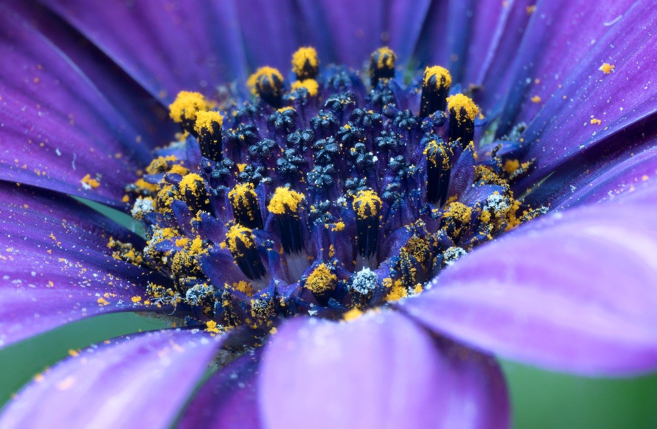 春の花粉による肌荒れ対策に最適な洗濯洗剤の選び方は？