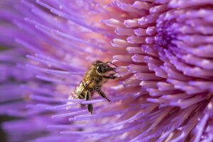 春の花粉による肌荒れ対策におすすめのシートマスクの種類は？