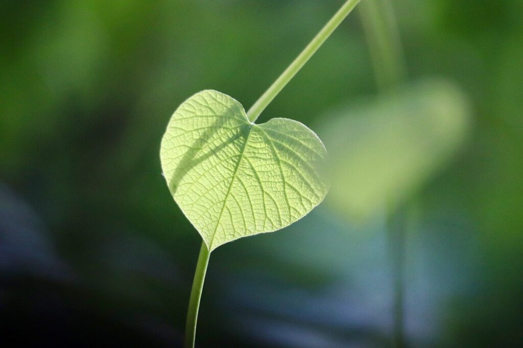 春に肌荒れが起こる原因とは？