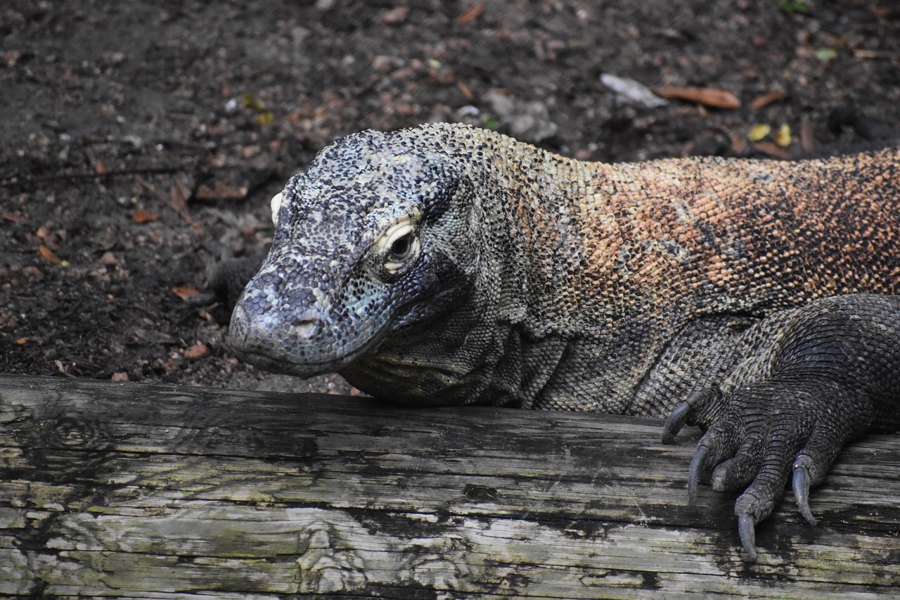 PM2.5による肌荒れの効果的な対策は？