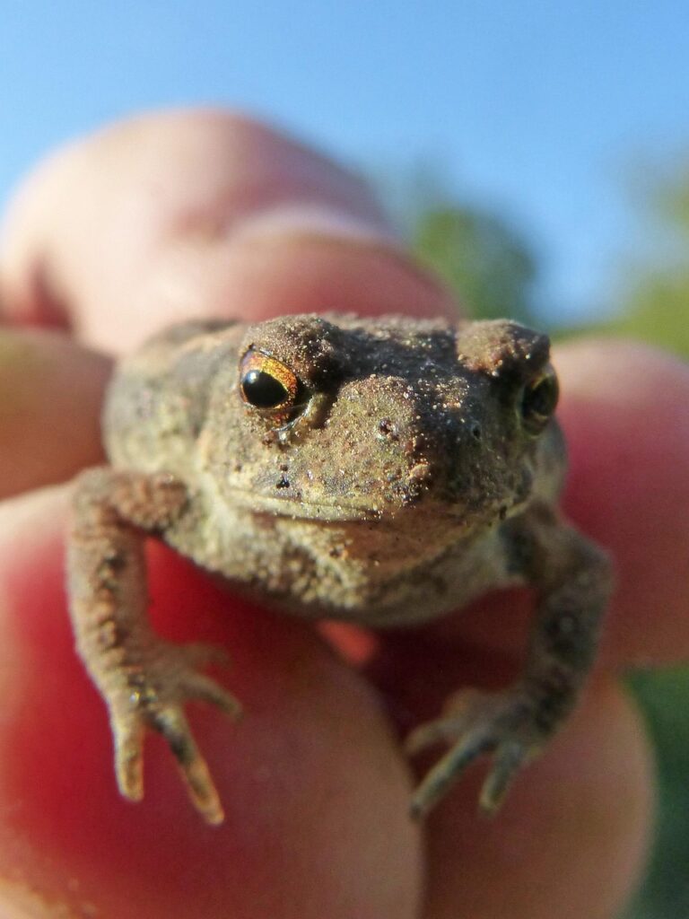 春に肌荒れを防ぐためのおすすめ化粧水は？