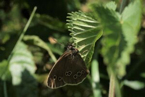 花粉と黄砂による肌荒れを防ぐダブルケア方法は？