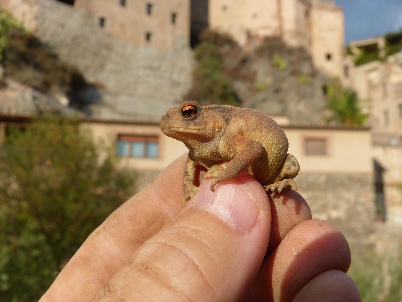花粉による肌荒れに効果的な皮膚科での薬は？