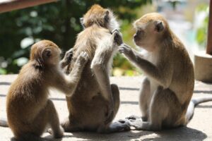 春のかゆみを防ぐスキンケアの選び方は？