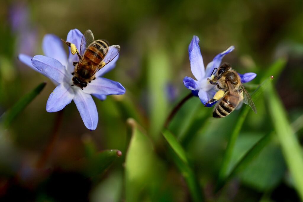 花粉による肌荒れに最適な化粧水は？口コミでわかる効果とは？