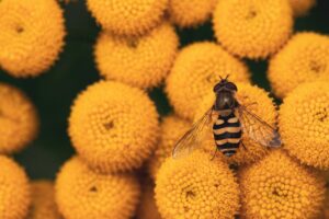 花粉による肌荒れを防ぐための低刺激製品はどれがいい？