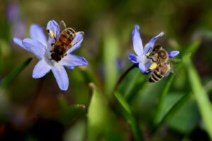 花粉による肌荒れを防ぐための化粧水の選び方は？