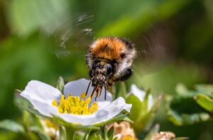 花粉バリアミストのおすすめはこれだ！効果的な選び方は？