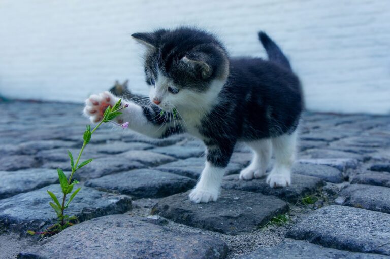春の花粉による毛穴ケアはどの方法が効果的？